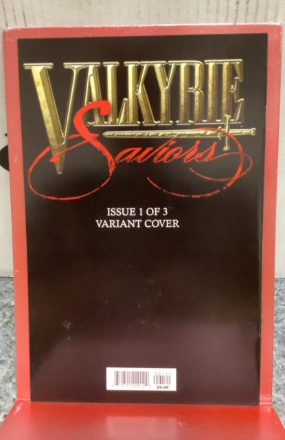 Valkyrie Saviors #1 Variant Cover (2021)