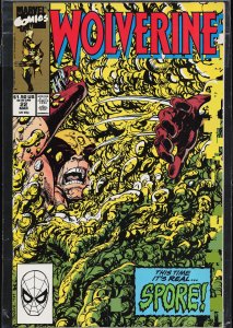 Wolverine #22 (1990) Wolverine