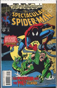The Spectacular Spider-Man #216 (1994) Spider-Man