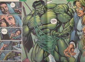 Incredible Hulk #30 (2001)