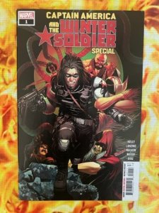 Captain America and the Winter Soldier Special (2023) - MT