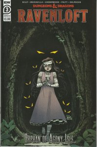 Dungeons & Dragons Ravenloft #3 Cover B IDW Comics NM