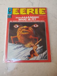 Eerie #21 (1969)