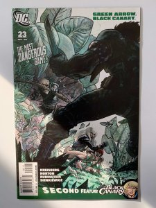 Green Arrow/Black Canary #23 (2009)