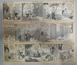 (307 Barney Google Dailies by Billy DeBeck from 1932 Size: 3.5 x 12 inches