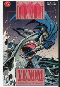 Legends of the Dark Knight #19 (1991) Batman