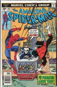 The Amazing Spider-Man #162 (1976) Spider-Man [Key Issue]