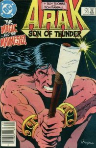 Arak Son of Thunder #29 (Newsstand) FN ; DC | Roy Thomas