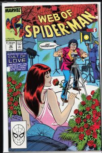 Web of Spider-Man #42 (1988) Spider-Man