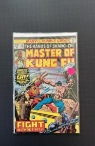 Master of Kung Fu #39 (1976)