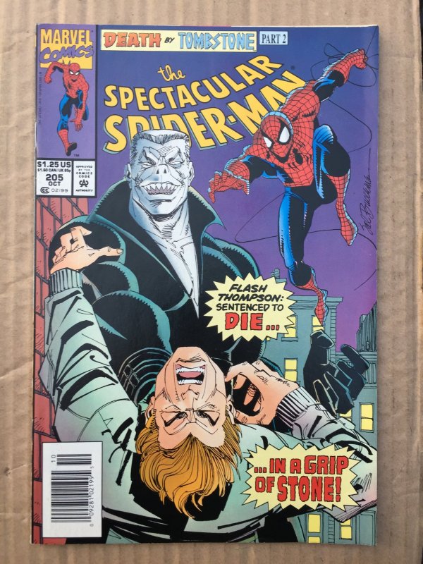 The Spectacular Spider-Man #205 (1993)