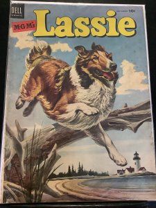 Lassie #17