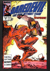 Daredevil #249 (1987)