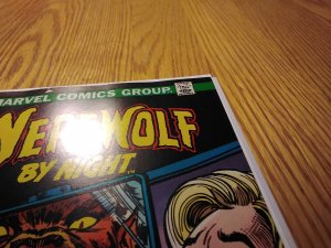 Werewolf by Night #12 (1973)