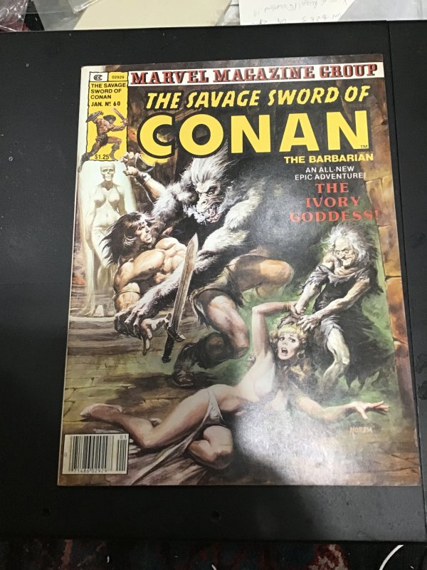 The Savage Sword of Conan #60 (1981) John Buscema Art! high-grade! VF wow