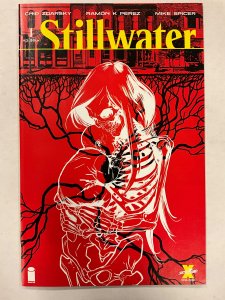 Stillwater #1 (2020)