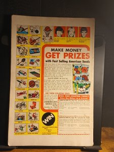 The Brave and the Bold #118 (1975) Wildcat