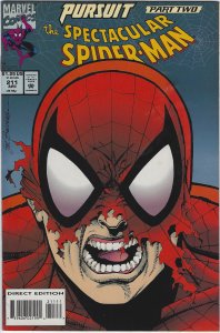 Spectacular Spider-Man #211