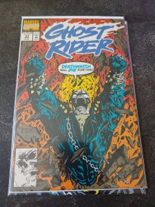 Ghost Rider #23 Direct Edition (1992)