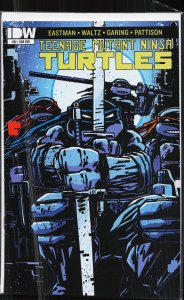 Teenage Mutant Ninja Turtles #52 Cover B (2015)