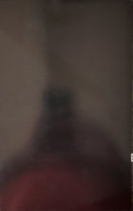 Poizon: Lost Child #1 Necro Nude Variant (1996) Signed on Cover