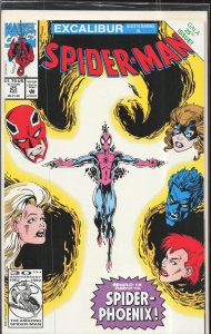 Spider-Man #25 (1992) Spider-Man