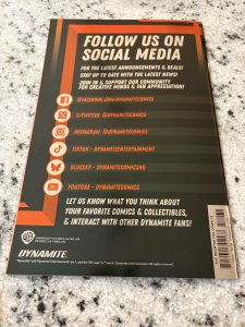 Thundercats # 17 NM Dynamite Comic Book 1st Print Liono Pantha Variant ZA 7 J436