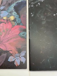 MAW #1 CVR D 1:10 + E 1:25 KRISTINTINA NM BOOM STUDIOS COMICS IN-HAND SHIPS NOW