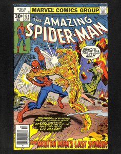 Amazing Spider-Man #173