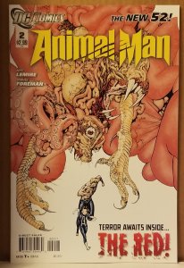 Animal Man #2 (2011)