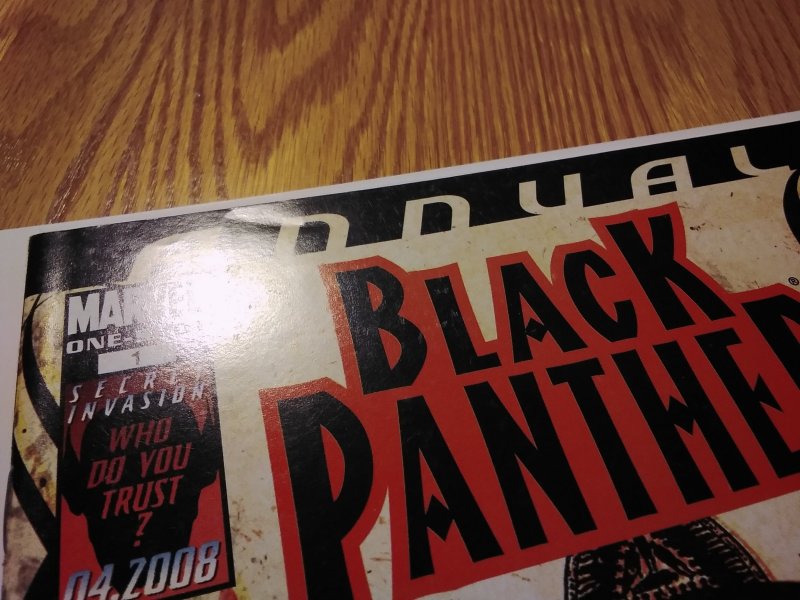 Black Panther: Black to the Future Annual 1 (2008)