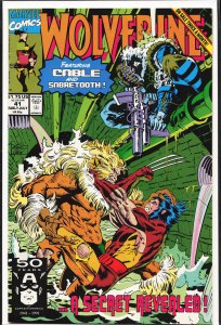 Wolverine #41 (1991) Wolverine