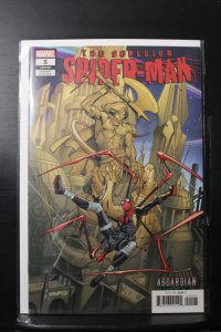 Superior Spider-Man #5 Variant Cover (2019)