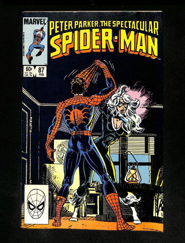 Spectacular Spider-Man #87