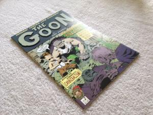 THE GOON COMIC LOT - 31 ISSUES - Albatross 1-4, Dark Horse 2-5, 7-13 & MORE