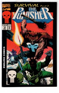 • The Punisher #78 (1993) / 0466-NSC•NCA2