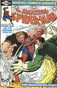 SPIDER-MAN  (1963 Series) (AMAZING SPIDER-MAN)  #217 Near Mint Comics Book