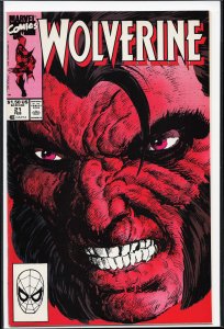 Wolverine #21 (1990) Wolverine