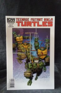 Teenage Mutant Ninja Turtles #2 Cover B (2011)