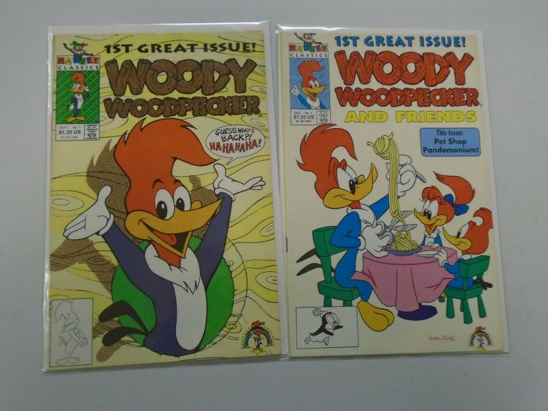 Woody Woodpecker #1's 2 Different 6.0 FN (1991)