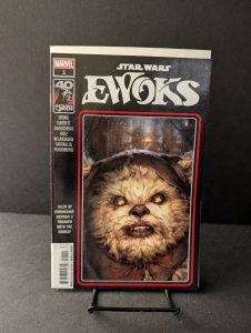Star Wars: Return of the Jedi - Ewoks #1 Ryan Brown Cover (2023)