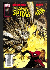 The Amazing Spider-Man #557 (2008)