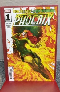 Phoenix #1 (2024)