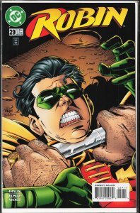 Robin #29 (1996) Robin