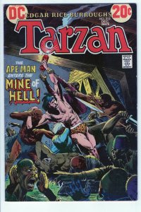 TARZAN #215 - 4.5 - OW - Kubert - Foster