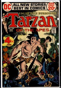 Edgar Rice Burroughs' Tarzan #210 (1972)
