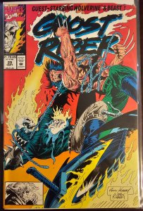 Ghost Rider #29 (1992)