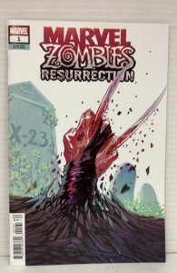 Marvel Zombies: Resurrection #1 Hans Cover (2020)