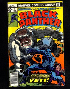 Black Panther #5