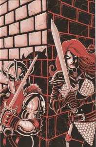 Invincible Red Sonja # 9 Variant 1:11 Cover V NM Dynamite [H9]